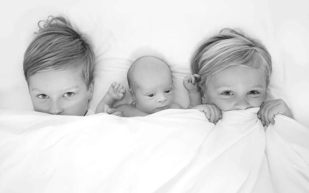 Studio Portfolio by Nicky’s Photography